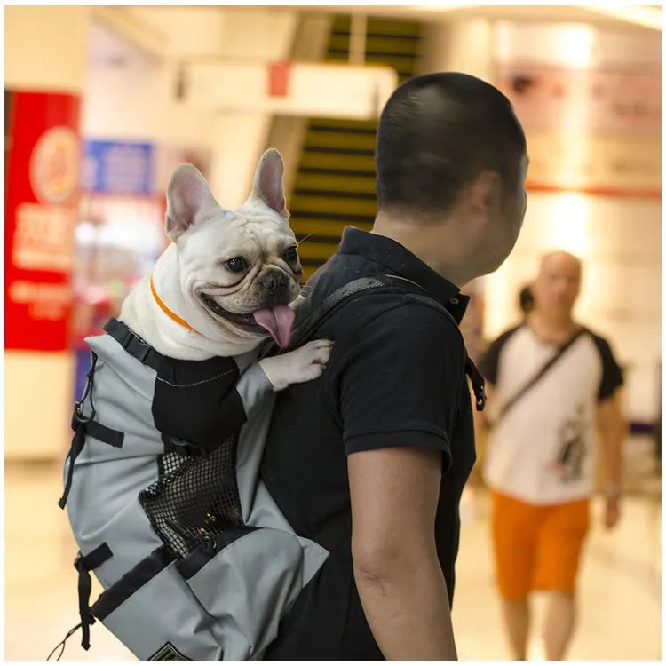 Hiking Pet Dog Carrier Travel Backpack Outdoor Ventilation Outdoor Sport Mesh
