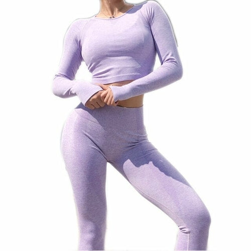 FlexFit Seamless Women's 2-Piece Sport Set
