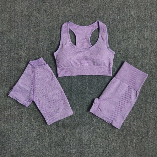 FlexFit Seamless Women’s Yoga Set: Comfort & Style